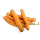 Frische Karotten- Möhren angebaut in Bayern/...