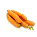 Frische Karotten Möhren gelbe Rüben naturbelassen 1-10 KG
