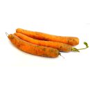 Frische Karotten Möhren gelbe Rüben naturbelassen 1 KG