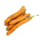 Frische Karotten Möhren gelbe Rüben naturbelassen 5 KG