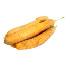 Frische Karotten Möhren gelbe Rüben naturbelassen 8 KG