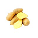 Kartoffel Sieglinde festkochende Speisekartoffeln Ernte 2023 Kartoffeln 1-25 KG