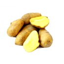 Kartoffel Sieglinde festkochende Speisekartoffeln Ernte 2022 Kartoffeln 1 KG