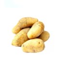 Kartoffel Sieglinde festkochende Speisekartoffeln Ernte 2021 Kartoffeln 2 KG