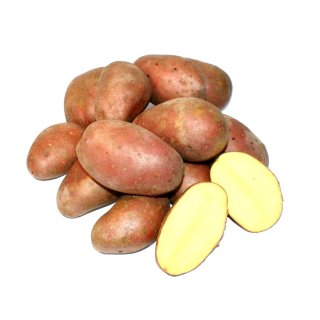 Kartoffel Laura halbmehlig vorw. festkochend rote Kartoffeln 
