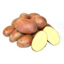 Kartoffel Laura halbmehlig vorw. festkochend rote Kartoffeln 