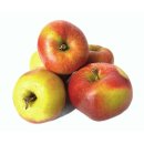 Frische BIO Äpfel Santana Allergikerfreundlich aus Deutschland/Bodensee saftig süß-säuerlicher Apfel Tafelapfel 1- 10 KG