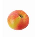 Frische BIO Äpfel Santana Allergikerfreundlich aus Deutschland/Bodensee saftig süß-säuerlicher Apfel Tafelapfel