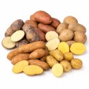 Frische Kartoffeln Kartoffelmix Probierpaket verschiedene Kartoffelsorten mehlig, vorwiegend festkochend, festkochend 5 KG