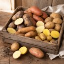 Frische Kartoffeln Kartoffelmix Probierpaket verschiedene Kartoffelsorten mehlig, vorwiegend festkochend, festkochend 5 KG