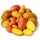 Frische Kartoffeln Kartoffelmix Probierpaket verschiedene Kartoffelsorten mehlig, vorwiegend festkochend, festkochend 5 KG