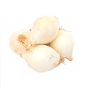 Zwiebeln weiße Speisezwiebel Haushaltszwiebel Zwiebel 1- 25 KG