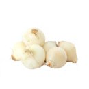 Zwiebeln weiße Speisezwiebel Haushaltszwiebel Zwiebel 1- 25 KG