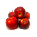 Äpfel Red Jonaprince Jonagold Price Red Prince aus Deutschland/Bodensee saftig süß-säuerlicher Tafelapfel 5 KG
