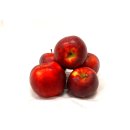 Äpfel Red Jonaprince Jonagold Price Red Prince aus Deutschland/Bodensee saftig süß-säuerlicher Tafelapfel 8 KG