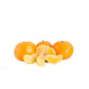 Frische Clementinen Mandarinen saftig süß 1-10 KG