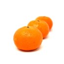 Frische Clementinen Mandarinen saftig süß 1-10 KG