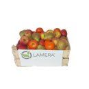 Lamera Obstpaket 5 KG - Äpfel, Birnen, Orangen und...