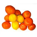 Zitronen Orangen Mandarinen Mix Paket Zitruspaket 2 KG Orangen 2 KG Mandarinen und 3 Zitronen