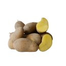 Kartoffeln Nixe mehligkochende Kartoffel 1–25 kg...