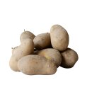 Kartoffeln Nixe mehligkochende Kartoffel 1–25 kg – deutsche Speisekartoffeln aus neuer Ernte 2026