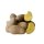 Kartoffeln Nixe mehligkochende Kartoffel 1–25 kg – deutsche Speisekartoffeln aus neuer Ernte 2026